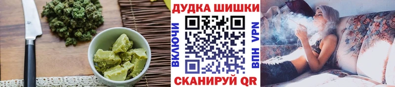 Купить где  Лесосибирск  Canna-Cookies конопля 