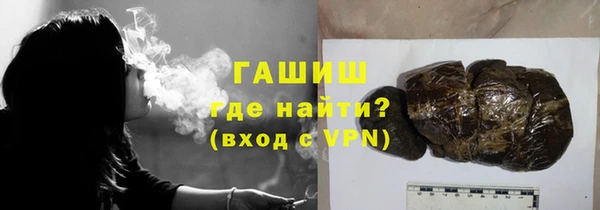 МДПВ Вяземский