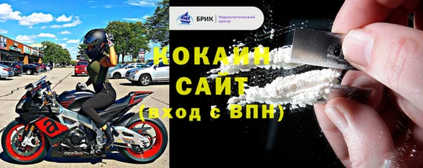 МДПВ Вяземский