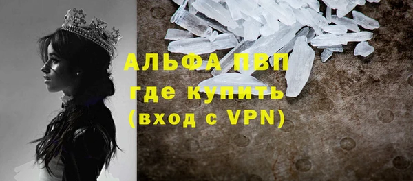 МДПВ Вяземский
