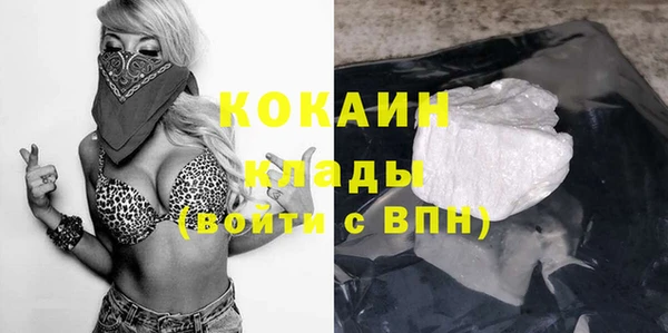 МДПВ Вяземский