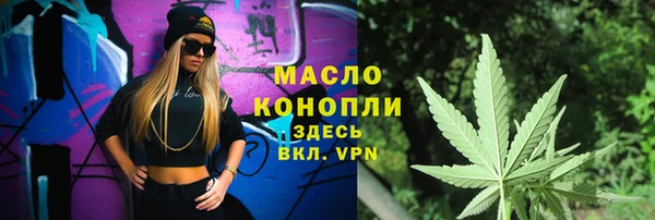 МДПВ Вяземский