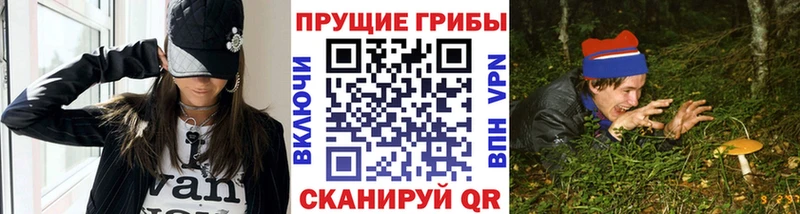 Купить где  Лесосибирск  Псилоцибиновые грибы Cubensis 